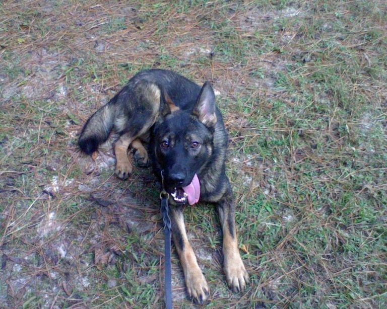 Chief and Staff City of Darlington!