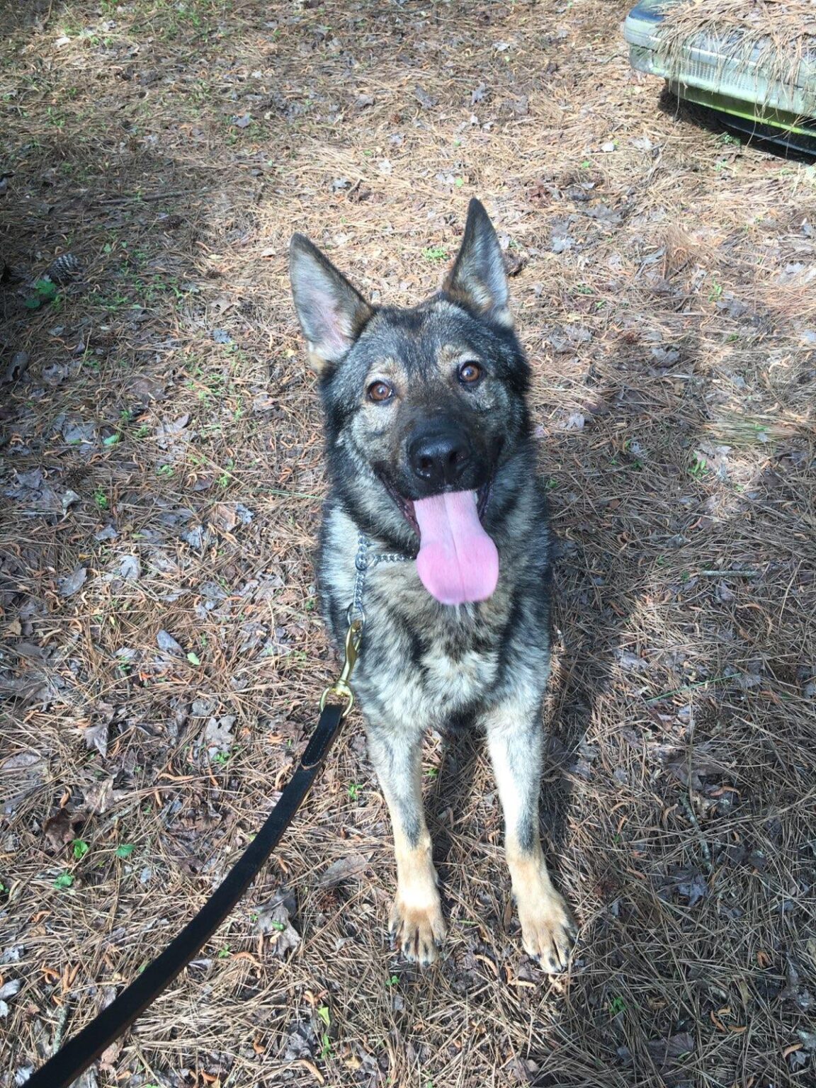 Chief and Staff City of Darlington!