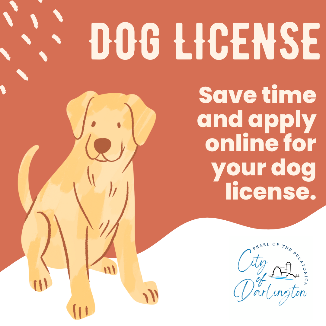 Why Should I License My Dog